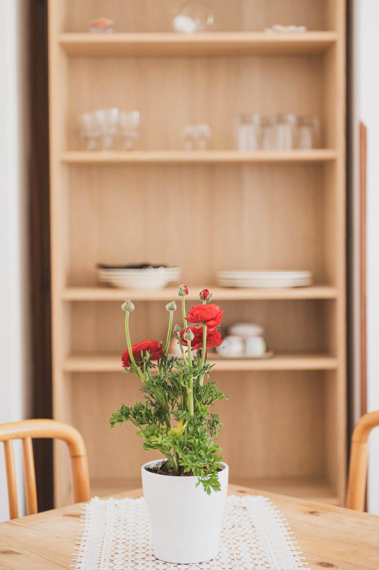Pucare Apartments Tramonti Kültér fotó